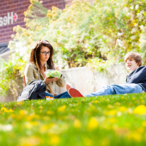 Students studying outdoors